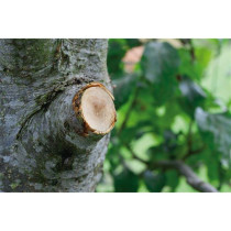 Gardena cutting branches with an anvil Smartcut Comfort-Autovisor blad