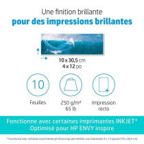 HP - HP Advanced Glossy Photo Paper - 250 g/m2, 4 x 12 inches (101 x 3