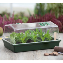 Mini greenhouse terrine and ventilated lid 37x24x18 xm