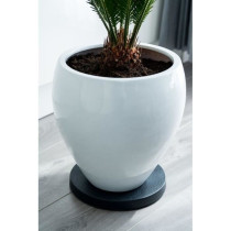 NATURE Roller table for plants - Polypropylene - H4 x Ø29.2 cm