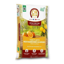 Mediterranean Plants Earth - BROWN GOLD - Obrtpm35N