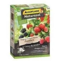 Strawberry fertilizers and berries - Algoflash Naturasol - Long -term