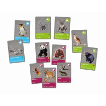 CLEMENTONI - Animals Planet Reality - Scientific box - Scientific expe