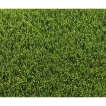 Synthetic grass - EXELGREEN - 123103 - Park 40 mm - 1 x 5m