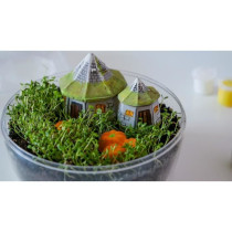 Terrarium Harry Potter - Clementoni - Hagrid hut to reproduce