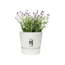 Elho Round Flower Pot Greenville 30 - Exterior - Ø 29.5 x H 27.8 cm -
