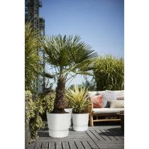 Elho Round Flower Pot Greenville 30 - Exterior - Ø 29.5 x H 27.8 cm -