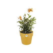 Pot de fleur B.for Original Rond 30 ocre