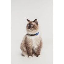 Répulsif ultrason chat - TICKLESS MINI CAT - Protection tiques et puc