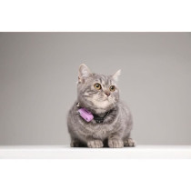 Répulsif ultrason chat - TICKLESS MINI CAT - Protection tiques et puc