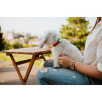 Répulsif ultrason chien - TICKLESS MINI DOG&CAT - Protection tiques e