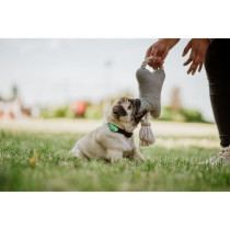 Répulsif ultrason chien - TICKLESS MINI DOG&CAT - Protection tiques e