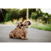 Répulsif ultrason chien - TICKLESS MINI DOG&CAT - Protection tiques e