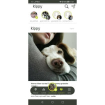 GPS tracker - KIPPY - EVO - Yellow Lemon