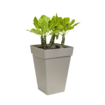 Elho Loft Urban Square Flower Box High 30 - Black - Ø 29 x H 41 cm -
