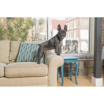 PBC19-16448 LITE Anti-Bark Collar for Dogs