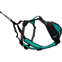 Dog harness - SYMBIOZ - S - Black / Blue