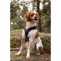Dog harness - SYMBIOZ - M - Black / Blue