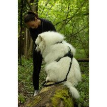 Dog harness - SYMBIOZ - S - Black / Blue