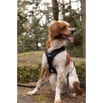 Dog harness - SYMBIOZ - S - Black / Blue