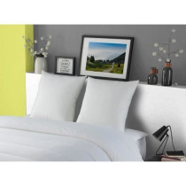 Dodo pillow down goose morzine anti-factories 65x65cm white
