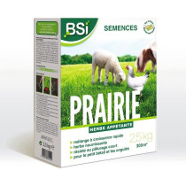 BSI - Grass Seeds - Meadow - High quality - Large Area - Up to 375m²