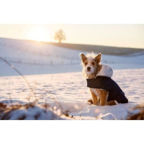 Warm dog coat - KERBL - TEDDY - 48 cm - Blue