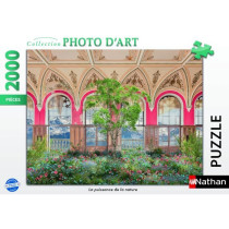 Puzzle 2000 pieces La puissance de la nature, Adultes et enfants des 1