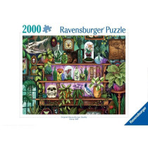Puzzle 2000 pieces, Des 14 ans, Bibelots et objets de sorciere, Puzzle