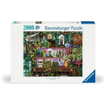 Puzzle 2000 pieces, Des 14 ans, Bibelots et objets de sorciere, Puzzle