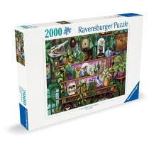 Puzzle 2000 pieces, Des 14 ans, Bibelots et objets de sorciere, Puzzle