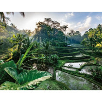 Puzzle 2000 pieces Au coeur de Bali, Adultes et enfants des 14 ans, Co