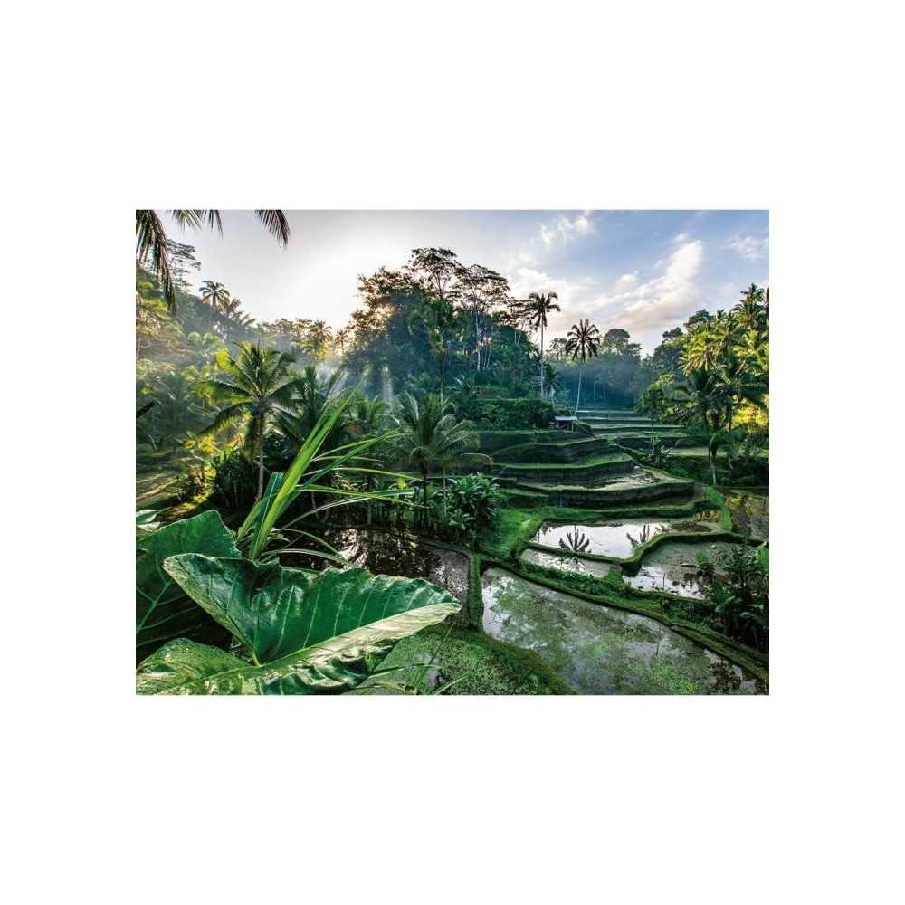 Puzzle 2000 pieces Au coeur de Bali, Adultes et enfants des 14 ans, Co