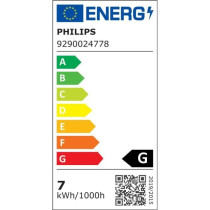 Philips Hue White Ambiance, LED Connected LED E27 Filament G93 Globe,