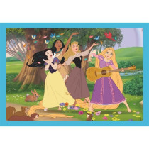 CLEMENTONI - Puzzle 4 en 1 - Disney Princess