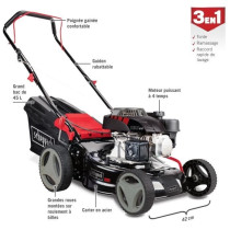 Tondeuse thermique MP132-42 - 42 cm - 2500 W - SCHEPPACH