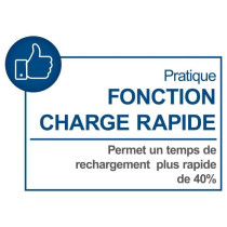 Double charger - SCHEPPACH - 4.5 A - SDBC4.5A - Simultaneously charges