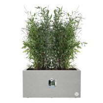 Elho Vivo Next Long 80 Flower box - Gray - L 78 x B 39 x H 38 cm - ind