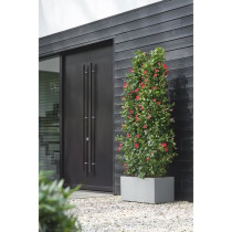 Elho Vivo Next Long 80 Flower box - Gray - L 78 x B 39 x H 38 cm - ind