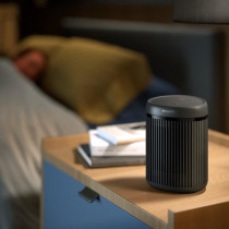 Chauffage d'appoint - PHILIPS - CX2120/01 - 1500 W - 15 m² - Noir