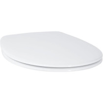 Grohe slaughtering WC Closing Brake Baux Bau Ceramic Blanc Alpin 39493