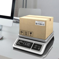 Professional scale - LBP 50 Professional - USB - Grey - LITTLE BALANCE