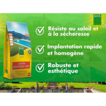 Gazon - BHS - Gazon Rustique Sud - 5kg - Résistant aux conditions sec
