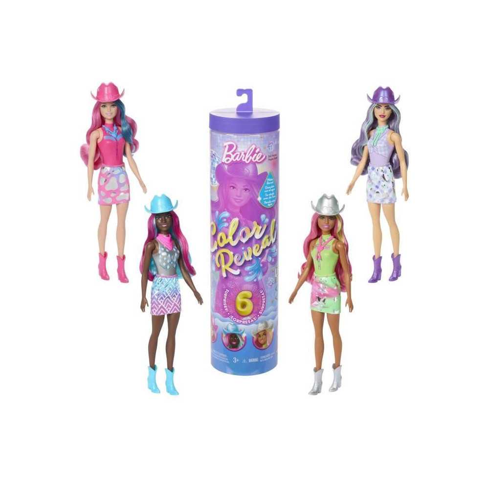 Barbie-Poupée Barbie Color Reveal-Série Disco Country Star 6 Surpris