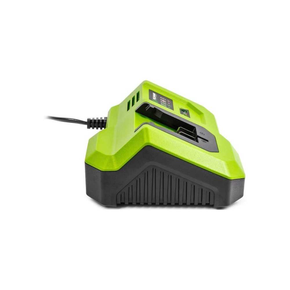 Chargeur rapide - FIELDMANN - Pour batterie 20V - Charge 2Ah en 30 min