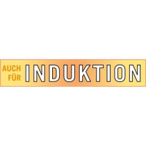 Traiteur - GSW - RIGO - 26 cm - 10 L - Induction - Acier inoxydable