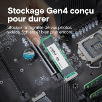 SSD interne - CRUCIAL - E100 - 480 Go - PCIe Gen4 NVMe M.2 - Jusqu'a 4