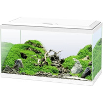 Aquarium 60 - CIANO - 58 L + Filtre + LED + Chauffafe + Consommable -