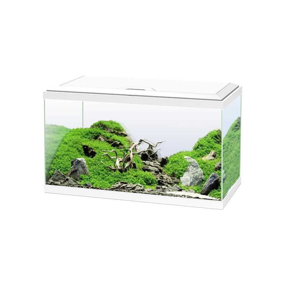Aquarium 60 - CIANO - 58 L + Filtre + LED + Chauffafe + Consommable -