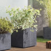 Pot de fleur Cube - DEROMA - Millennium R - Anthracite - A réserve d'
